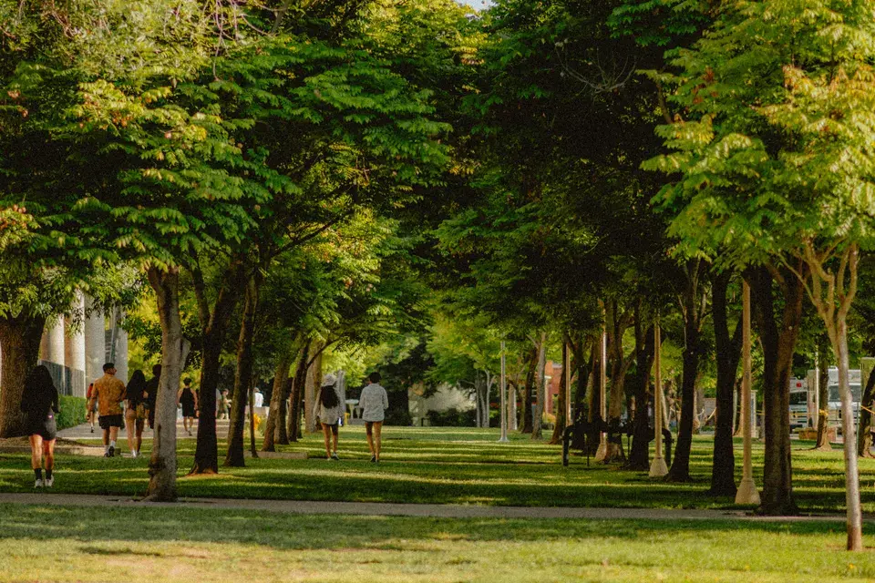 Navigating Saginaw's Unique Roadway Challenges — Saginaw, TX